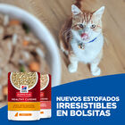  Hill's Science Plan Adult Healthy Cuisine Guisado de Frango e Legumes saqueta para gatos, , large image number null